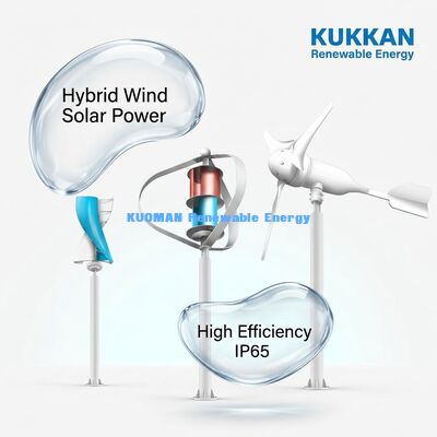 100W-200W Wind-Solar-Hybrid-Straßenleuchte mit IP65-Wasserdichtheit und 12 Stunden*365 Tage Arbeitszeit für Off-Grid-Straßen
