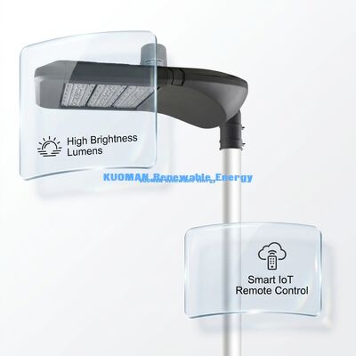 Garten Smart LED Straßenlaterne mit IP66 Wasserdichtigkeit, LoRaWAN Smart Control und 100.000 Stunden Lebensdauer für Solarbeleuchtung im Freien