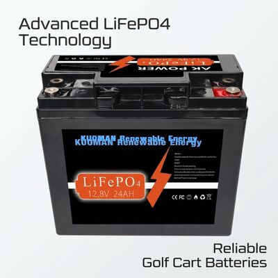 12V 24Ah LiFePO4-Akku mit 307,2 Wh Energie und ABS-Gehäusematerial für Tiefzyklus-Anwendungen