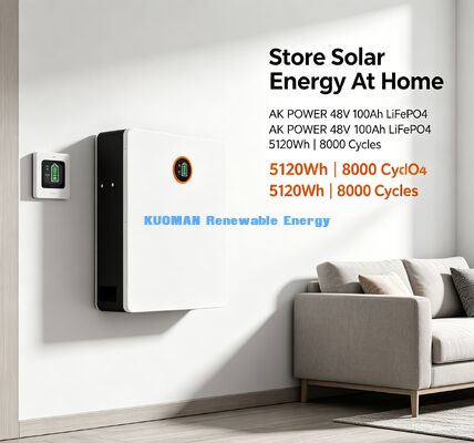 48V 100Ah LiFePO4-Akku mit BMS-Schutz und 8000 Zyklen für die Batteriespeicherung zu Hause