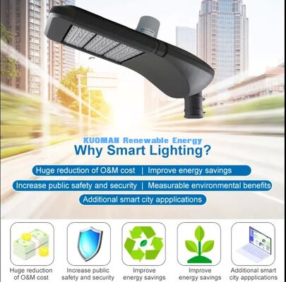 Multi-Serien Smart LED Straßenleuchten, LoRa IoT-Steuerung, Anpassbare kommunale Beleuchtung