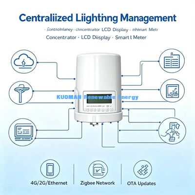 Professionelles intelligentes Straßenbeleuchtungssystem, LoRaWAN-Terminal‑Gateway‑Cloud-Gesamtlösungsanbieter
